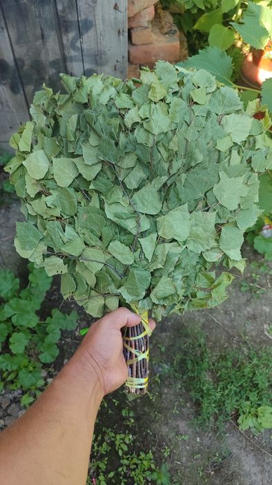 Веники берёзовые