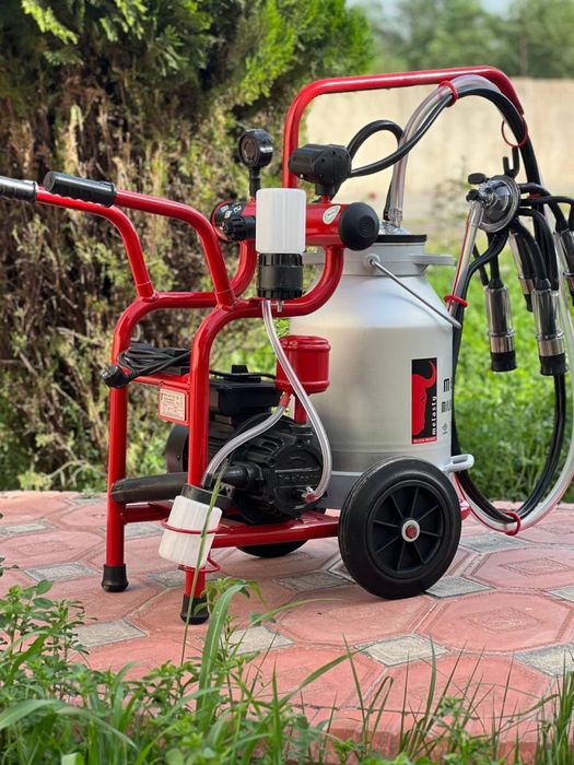 Kievda jinsiy aloqa uchun qiz