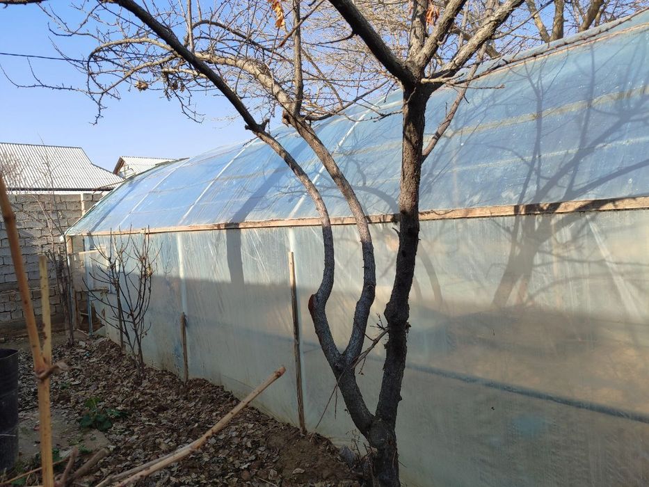 Tayyor issiqxona Sotuvda