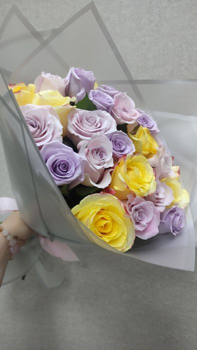 Розы 50см высотой