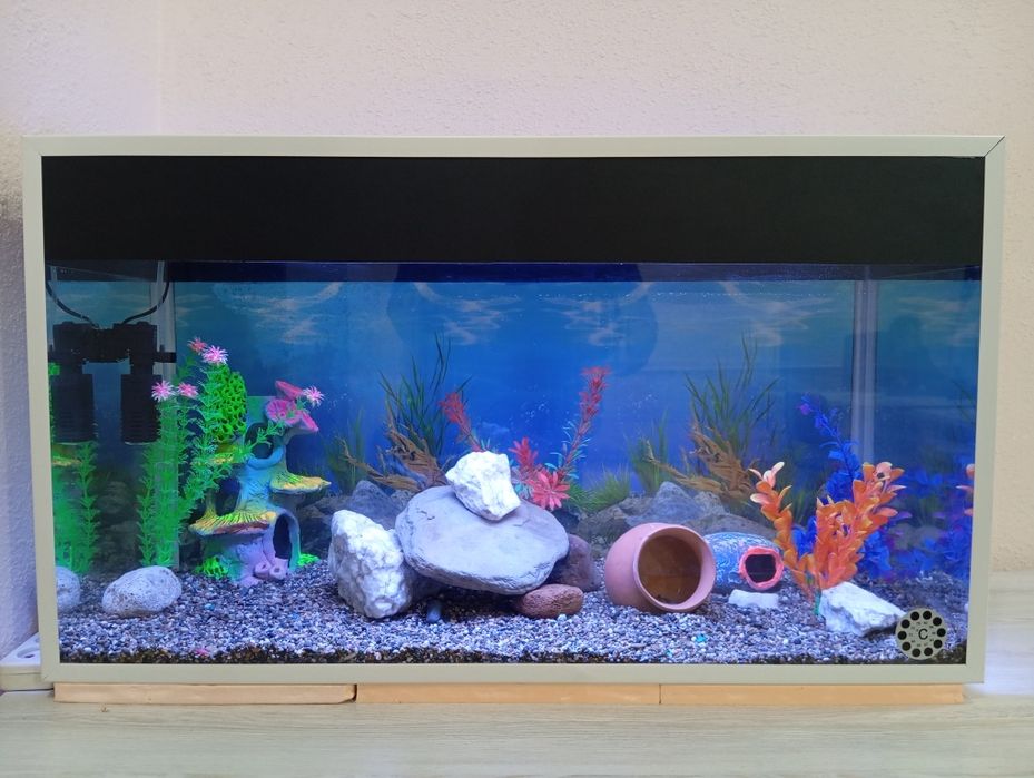 ZOOMARKET Akvarium baliqlari