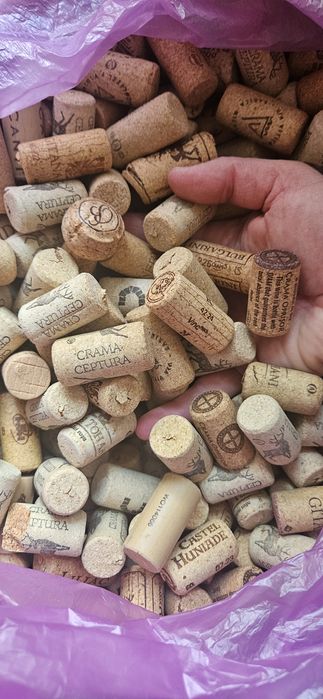 Dopuri de vin din pluta