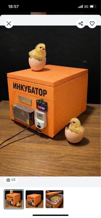 Tuxum Inkubator Avtomat 60talik