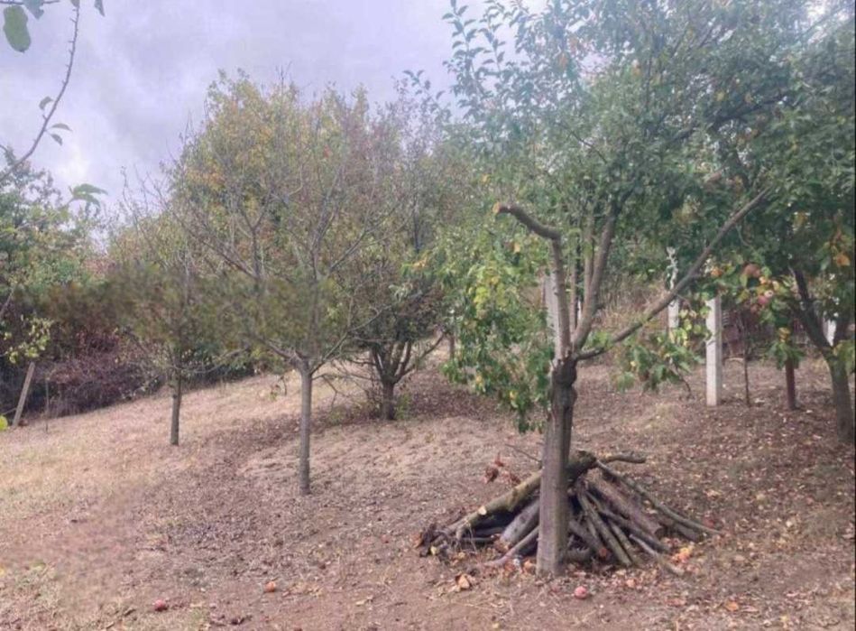 Вила в местност Козлуджа