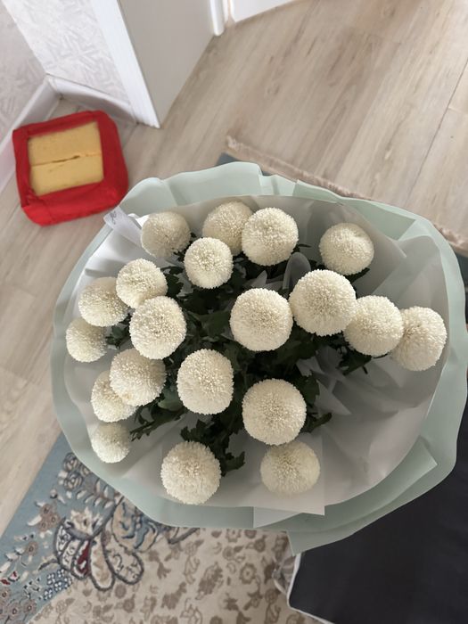 Цветы цветы цветы цветы