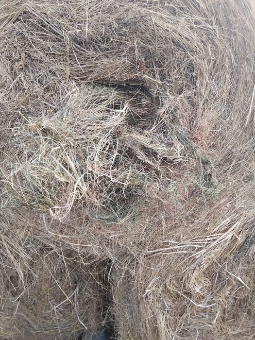 Vând baloți de fân