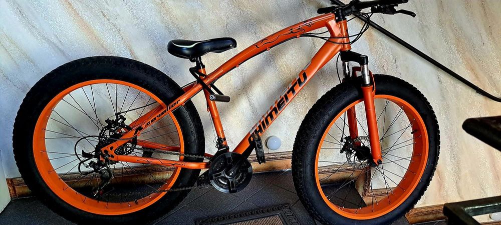 Bicicleta Fat Bike - Newtonstein