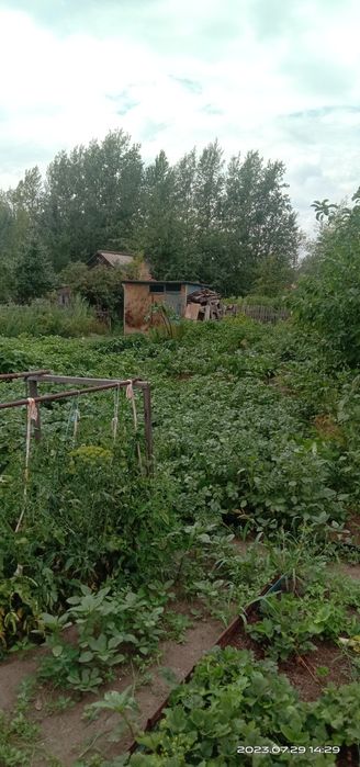 Дача сад "Яблонька"