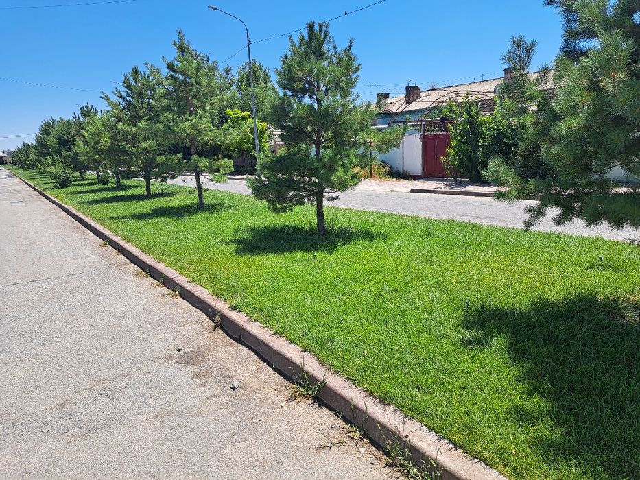 Уй сатылады район Аптека