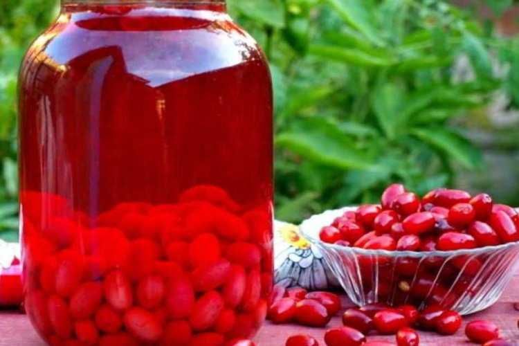 саженци Кизила свой садовый