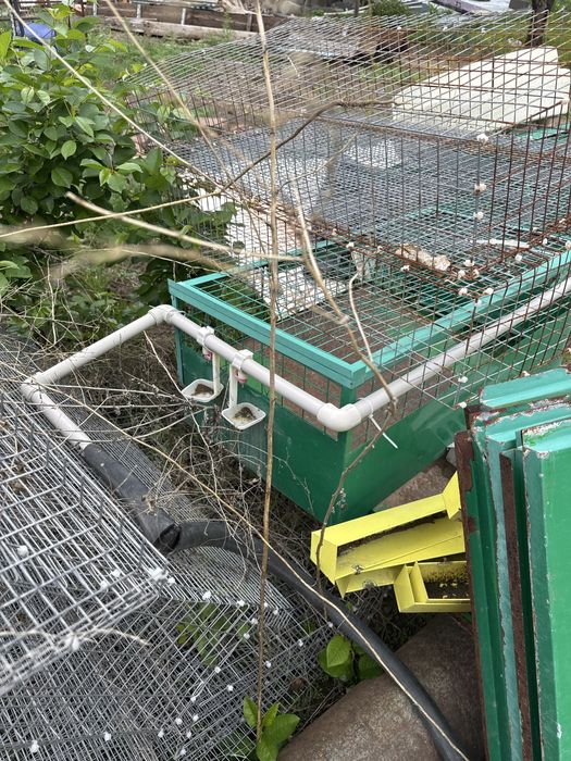 Клетки для перепелок. Инкубатор.