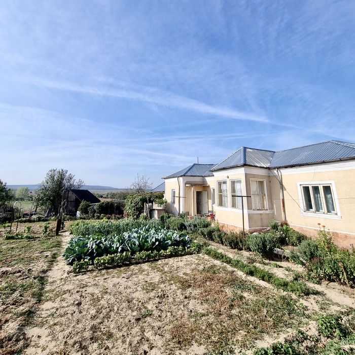 Casa cu 3 dormitoare in Turnu Magurele Odaia