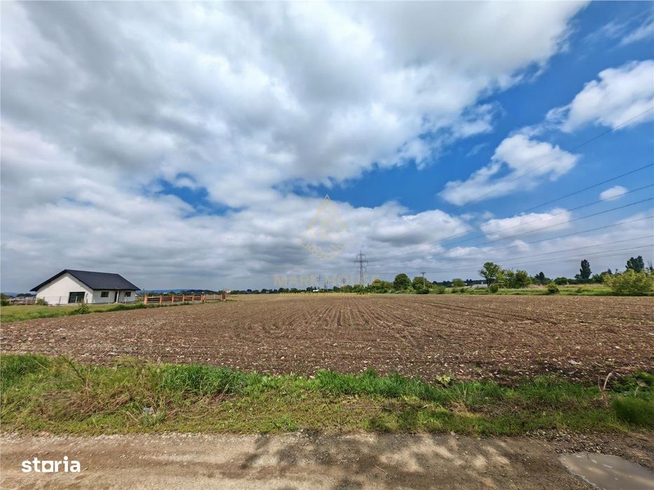 Teren intravilan 1800 mp, de vanzare, Serbanesti