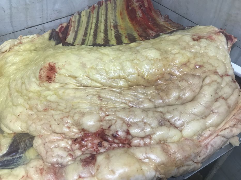 Продам мясо конины в любом количистве