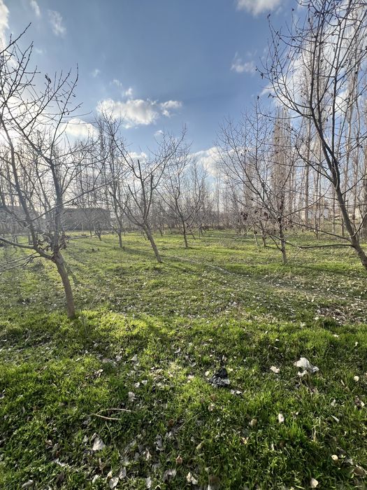 Yangi ozbekiston, yangi toshkent 12 sotok uchastka sotiladi