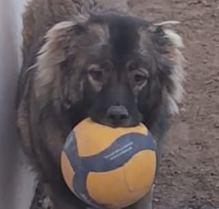 Мангистау обл жанаозен