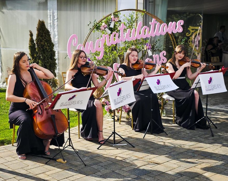 Cafe concert / primirea invitatilor / cvartet/duo/ evenimente