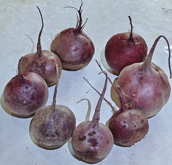 Овощи, выращенные в поле.