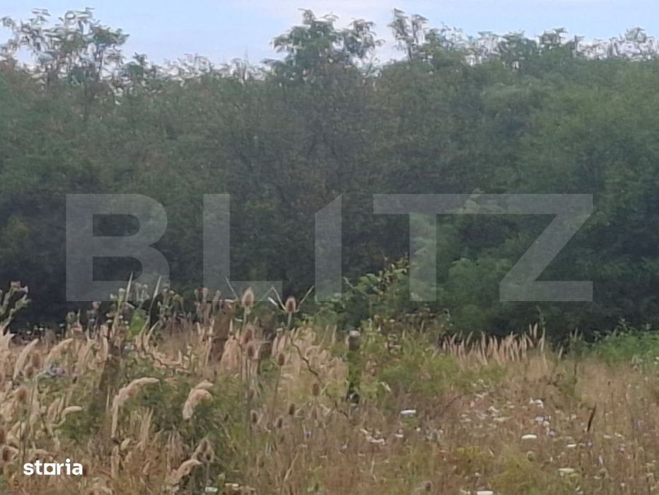 Padure de vanzare, 0,75 hectare, zona Suta Seaca