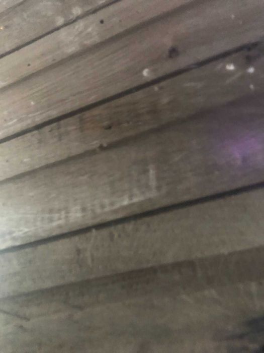 Паркет масив дъб