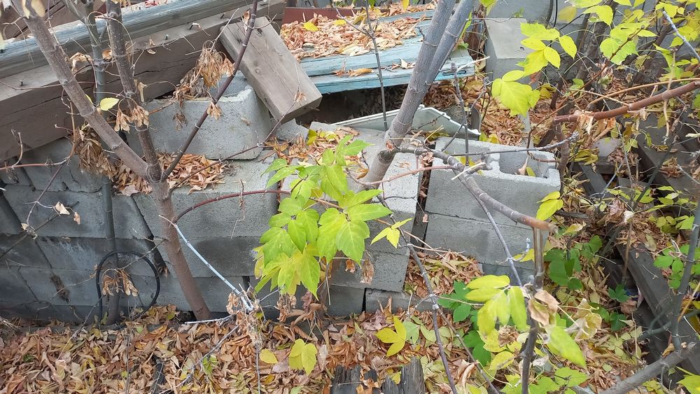 Продам пескоблок