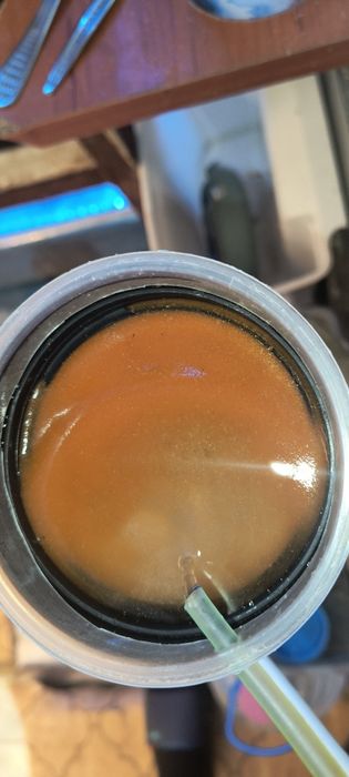 Артемия за люпене