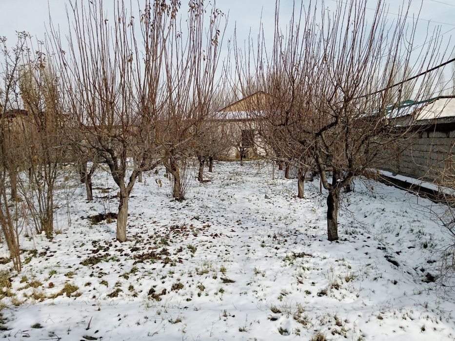 Bektemir tumanida 5 sotokli uchastka sotiladi.