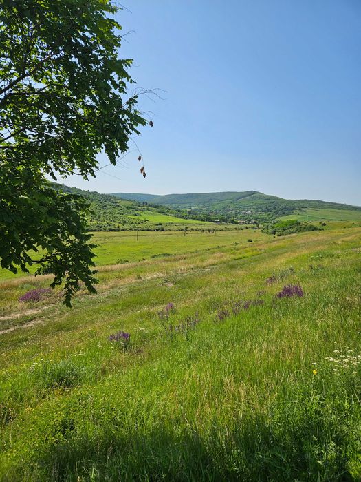 Vand Teren - 7200 mp - E581 si Teren - 2000 mp - Cretestii de Sus/Husi,Vaslui