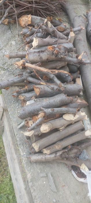 O'tin Sotiladi 1 Labo Chiqadi 4 Ta Mevali Daraxt Maydalangan