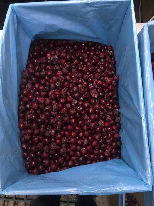 Музлатилинган олча замороженная Вишня
