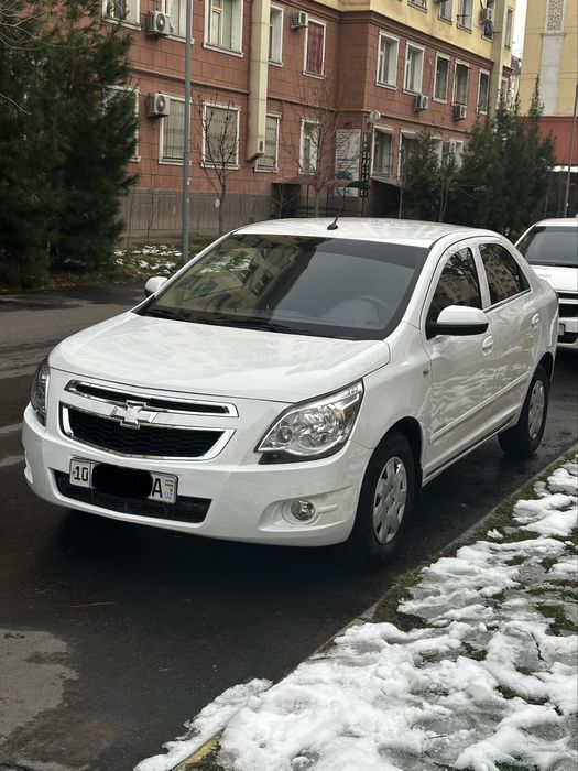 2020-21 Кобалт механика, краска тозза