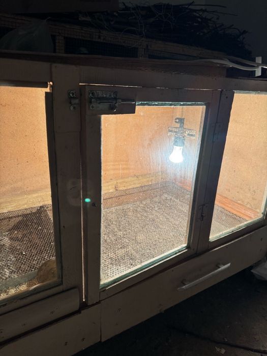 Брудер и сетка для цыплят