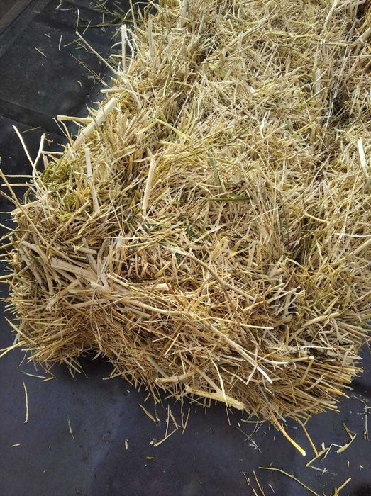 Солома.Ячмённая солома