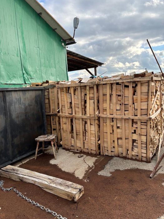 Lemne de foc fag esența tare uscat