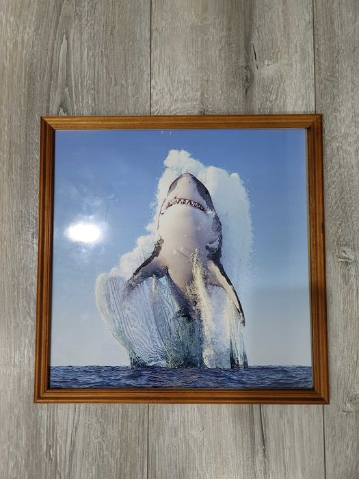 Картинка/фотография в рамке