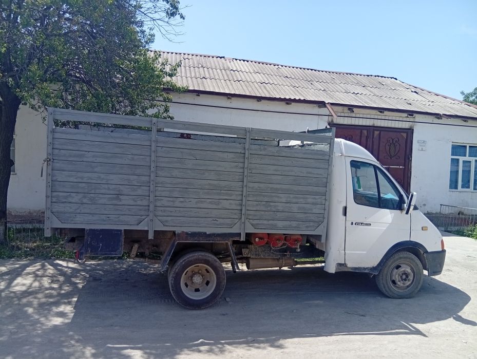 Газел зур холатда