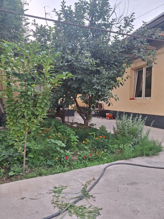 Продаю свой Участок, Дом