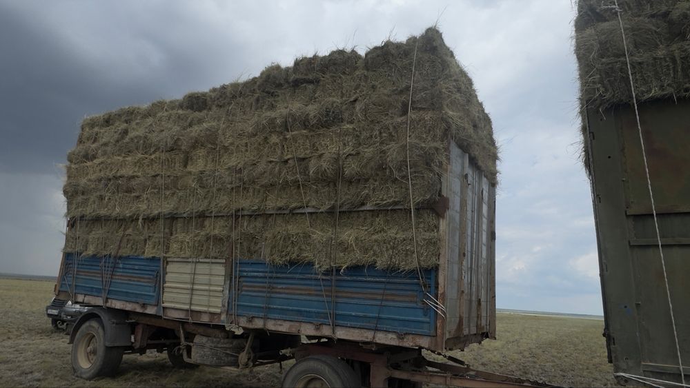 Прицеп сатылады 7.20