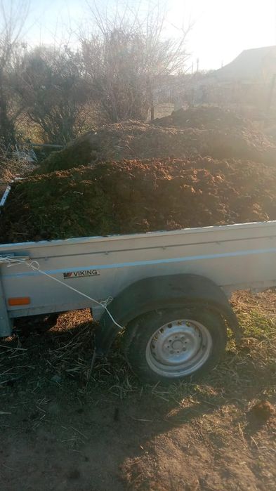 Продаётся навоз прогнившии