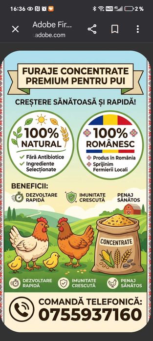 Crupe concentrate pentru pui