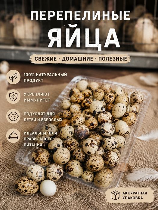 Продам перепелиные яйца и перепелок