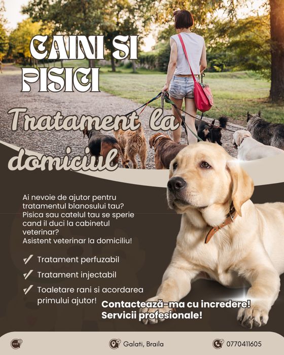 Pet sitting si tratamente medicale animale la domiciliu