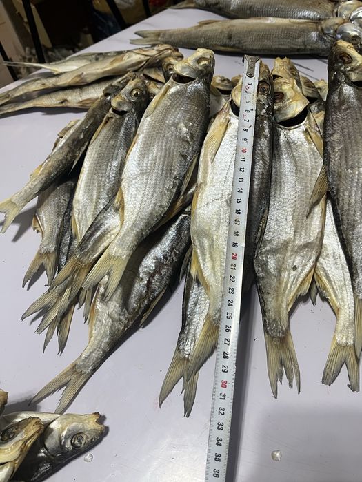 Кепкен балык сатамын