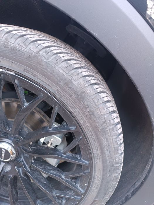 17 diska archa balonlari bn