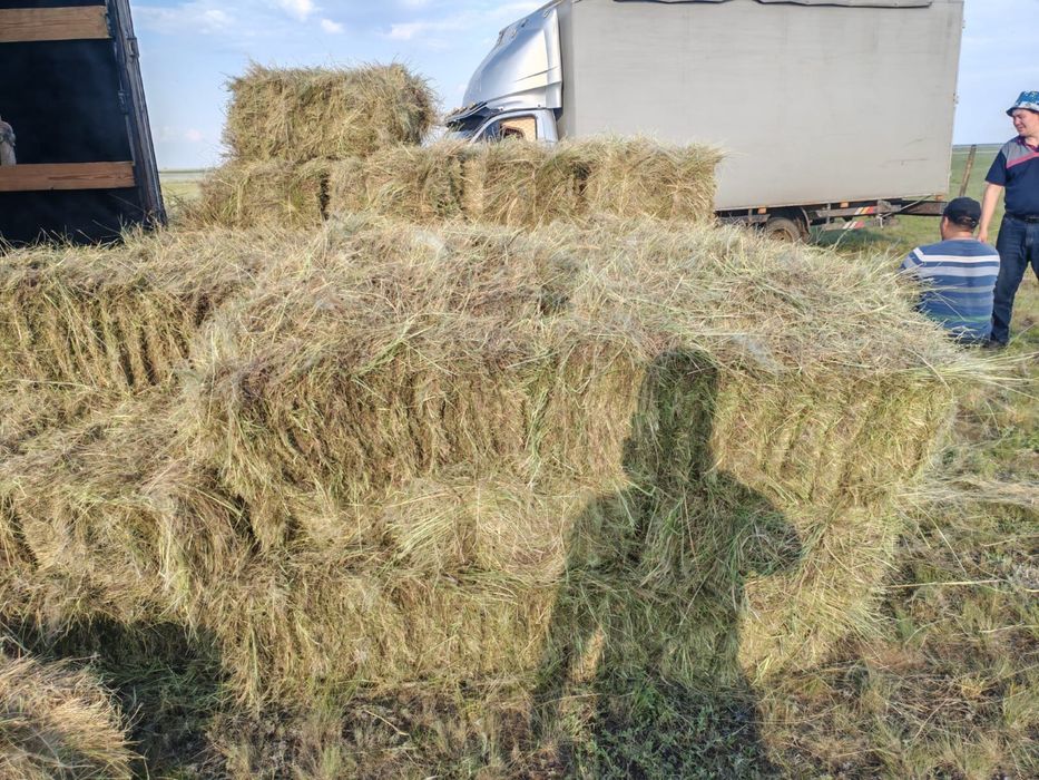Продам сено разнотравье