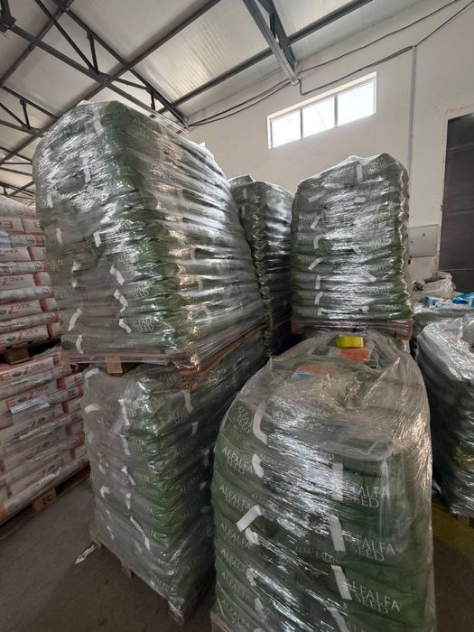 Beda urug’i TURKIY OPTIM