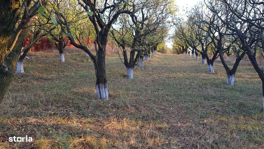 Teren intravilan ideal constructie casa - Pietraria - Barnova – IASI