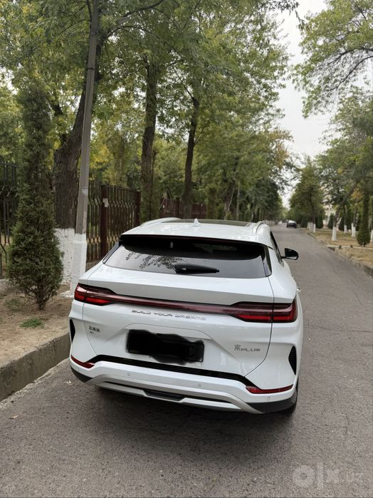Byd chempion oq 2023