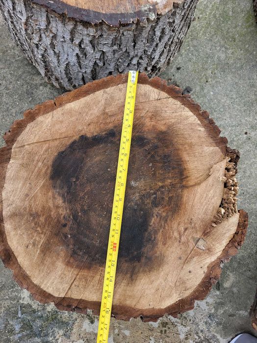 Butuci din lemn de nuc - 12 buc, arbore matur(29 de ani), tăiat recent