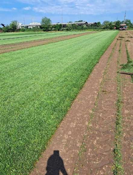 Gazon rulou Insamantare si sisteme de irigatii